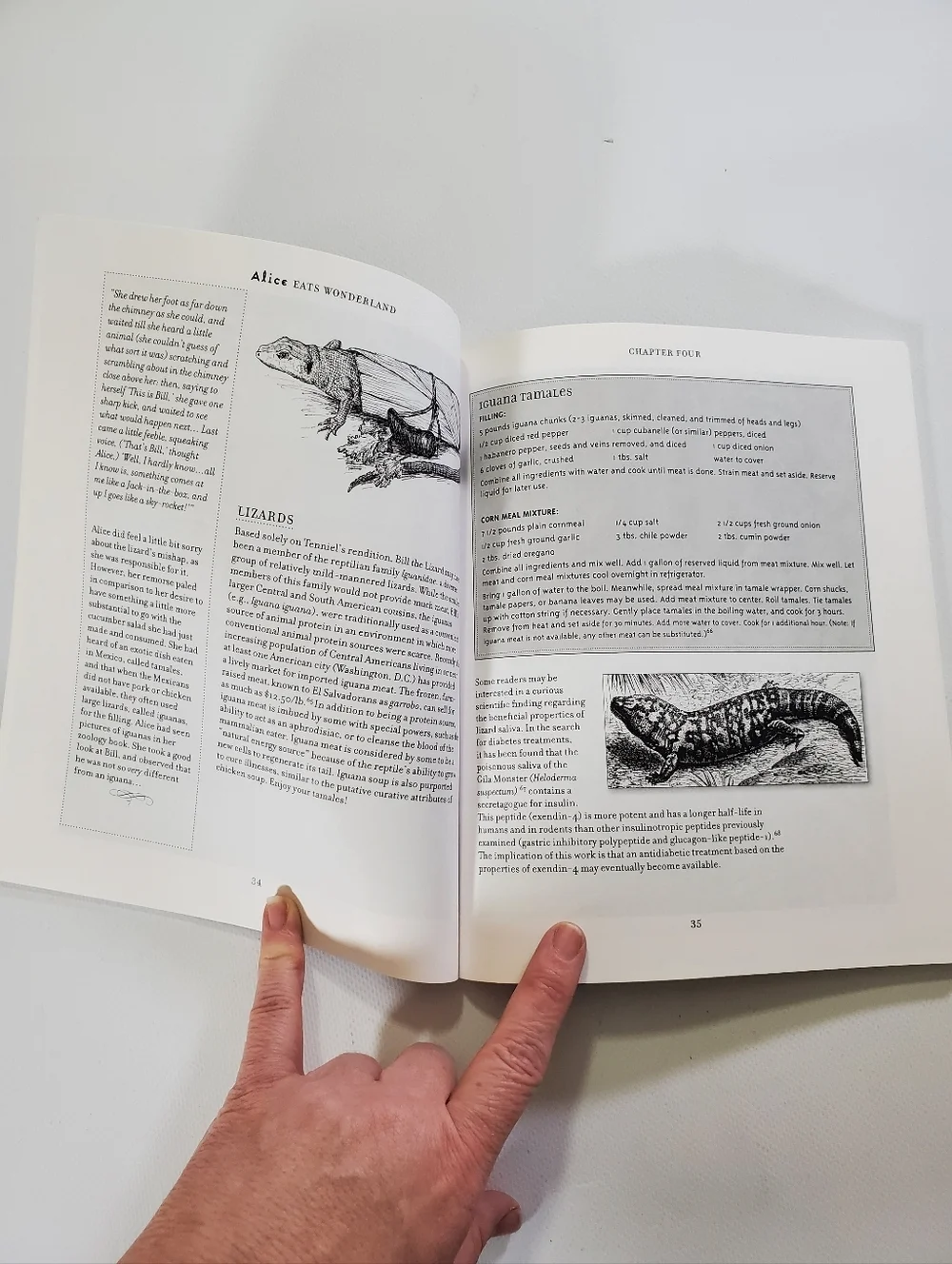 🟢 Alice Eats Wonderland: An Irreverent Annotated Cookbook Adventure